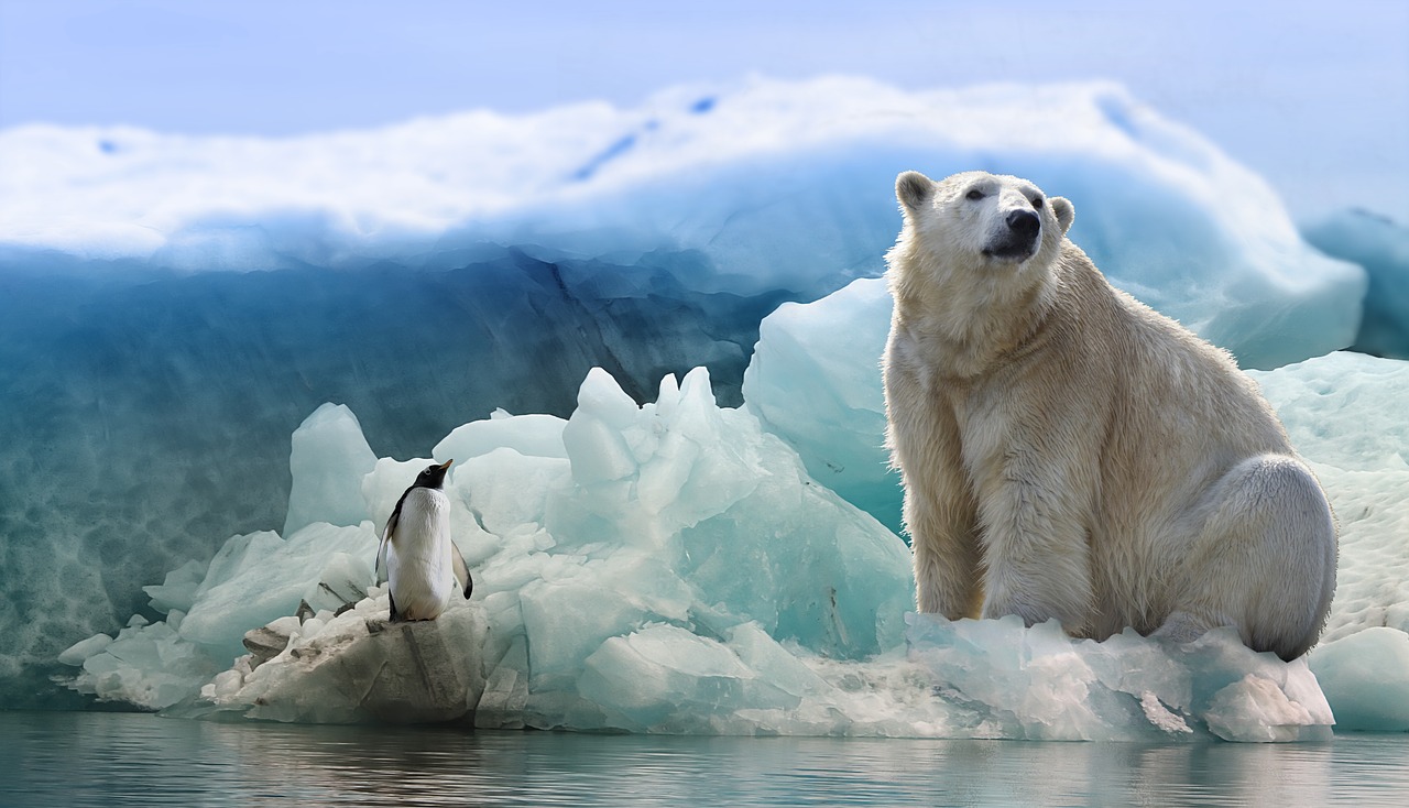 Február 27-e a Jegesmedvék Nemzetközi Világnapja